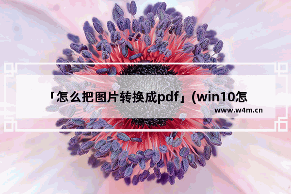 「怎么把图片转换成pdf」(win10怎么把图片转换成pdf格式)