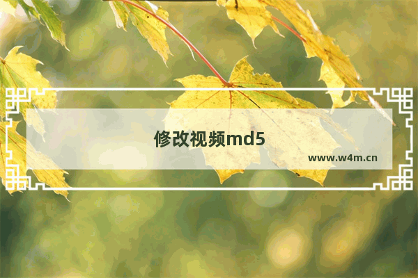 修改视频md5