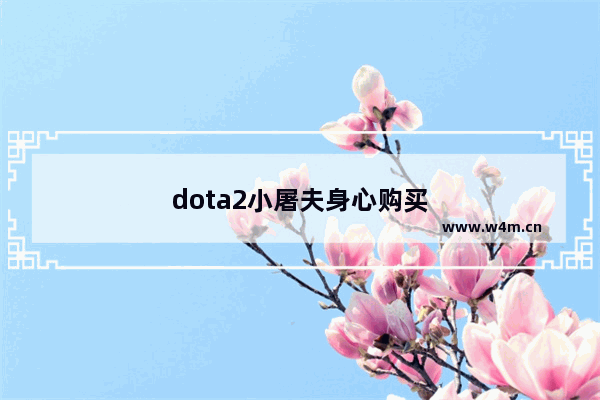 dota2小屠夫身心购买