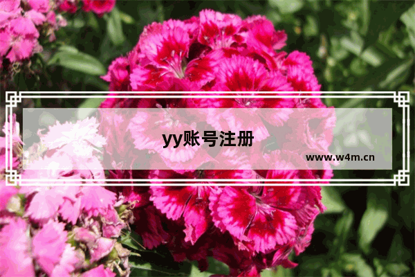 yy账号注册