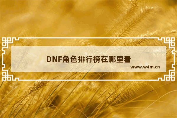 DNF角色排行榜在哪里看