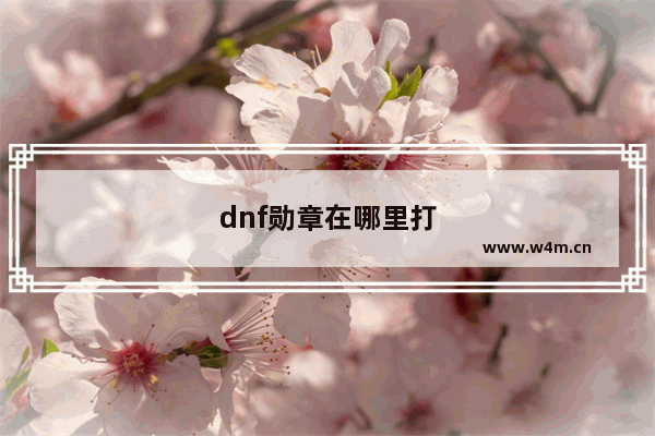 dnf勋章在哪里打