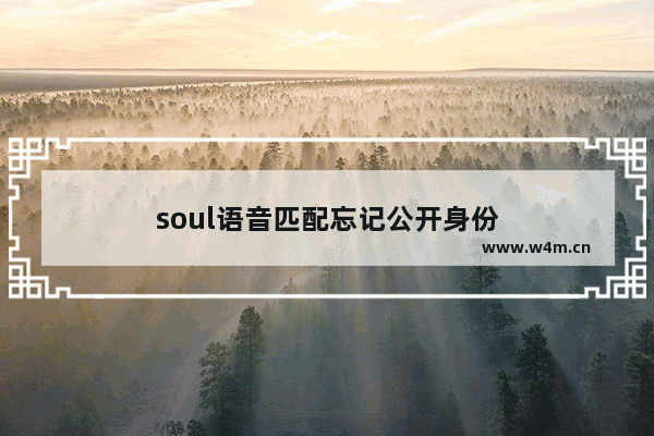 soul语音匹配忘记公开身份