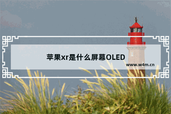 苹果xr是什么屏幕OLED