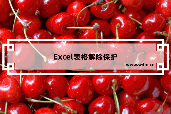 Excel表格解除保护