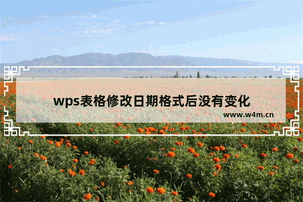 wps表格修改日期格式后没有变化