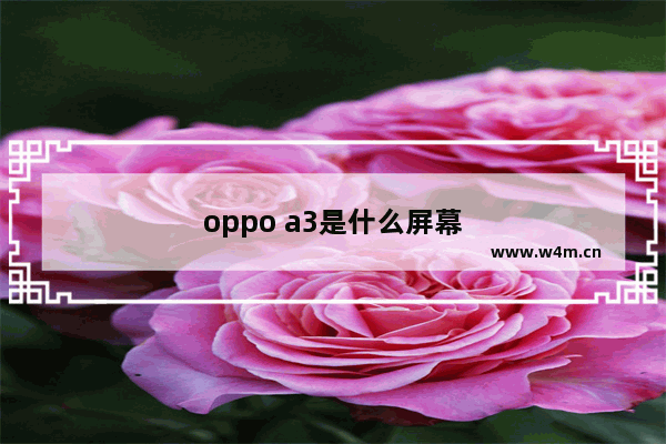 oppo a3是什么屏幕