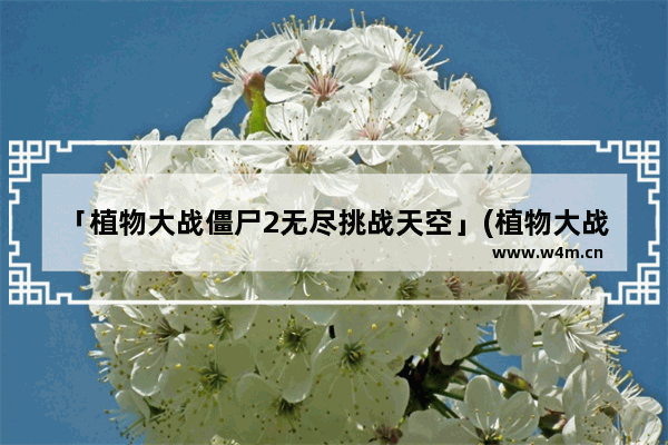 「植物大战僵尸2无尽挑战天空」(植物大战僵尸2无尽挑战天空之城平民攻略)