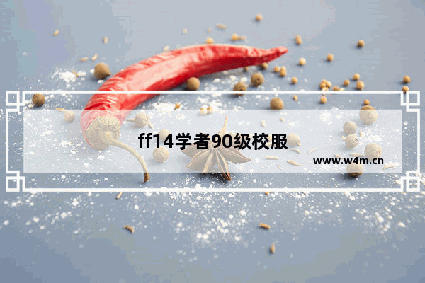 ff14学者90级校服