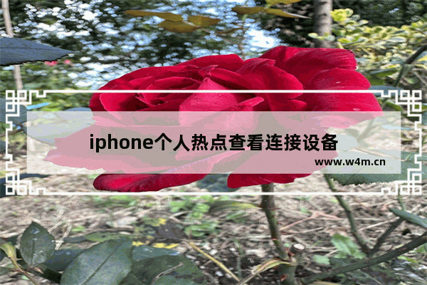 iphone个人热点查看连接设备