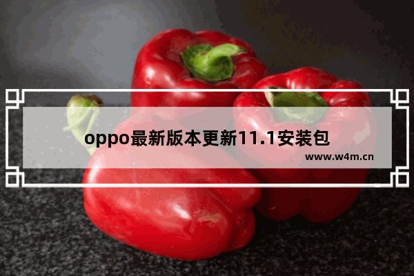 oppo最新版本更新11.1安装包