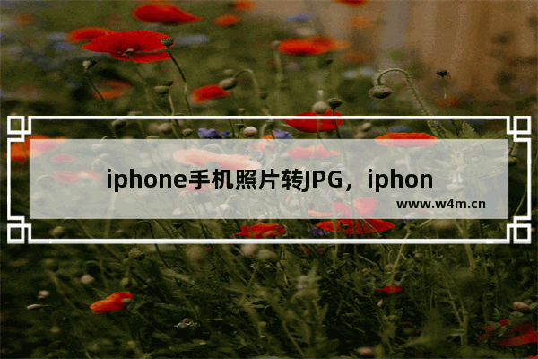 iphone手机照片转JPG，iphone手机照片转jpg格式 免费