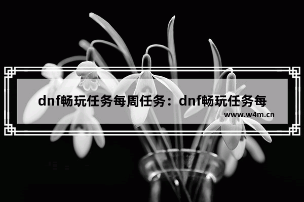 dnf畅玩任务每周任务：dnf畅玩任务每周任务奖励