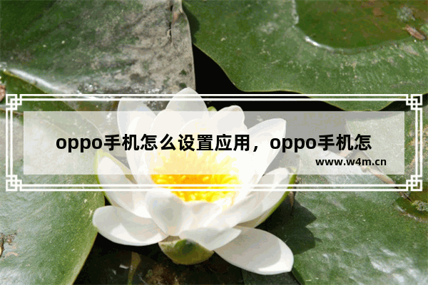 oppo手机怎么设置应用，oppo手机怎么设置应用下载权限