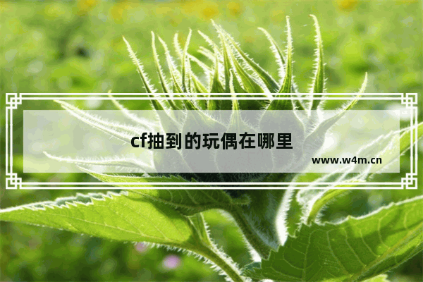 cf抽到的玩偶在哪里