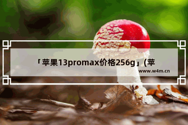 「苹果13promax价格256g」(苹果13promax价格256g远峰蓝)