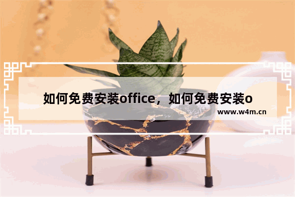 如何免费安装office，如何免费安装office2016