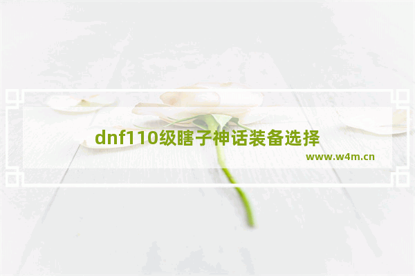 dnf110级瞎子神话装备选择