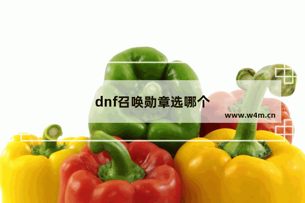 dnf召唤勋章选哪个