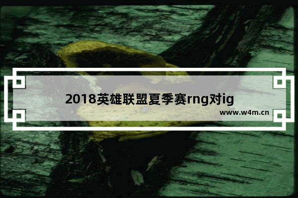 2018英雄联盟夏季赛rng对ig