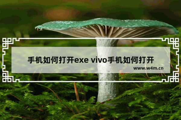 手机如何打开exe vivo手机如何打开exe文件教程