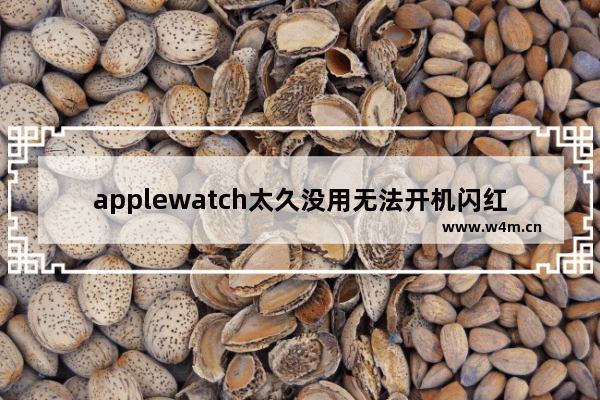 applewatch太久没用无法开机闪红