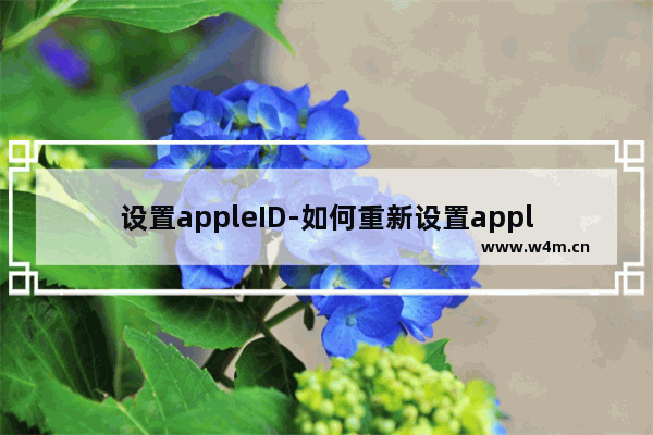 设置appleID-如何重新设置appleid