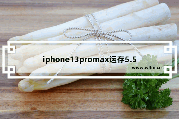 iphone13promax运存5.5