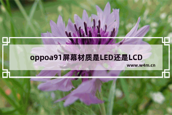 oppoa91屏幕材质是LED还是LCD