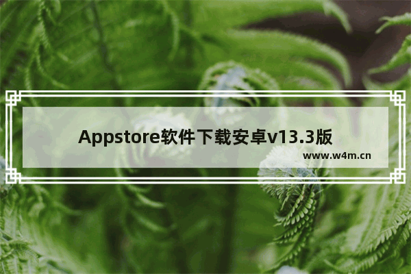 Appstore软件下载安卓v13.3版本