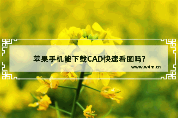 苹果手机能下载CAD快速看图吗?