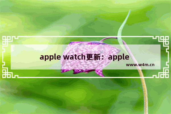 apple watch更新：apple watch更新不了系统