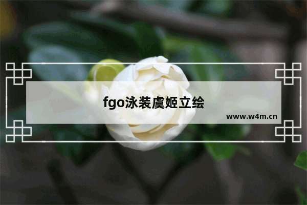 fgo泳装虞姬立绘