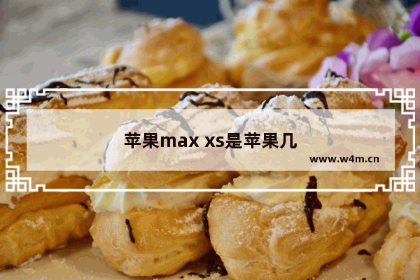 苹果max xs是苹果几