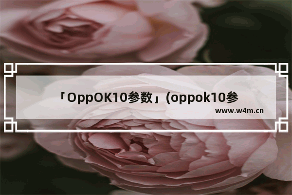 「OppOK10参数」(oppok10参数详细参数)