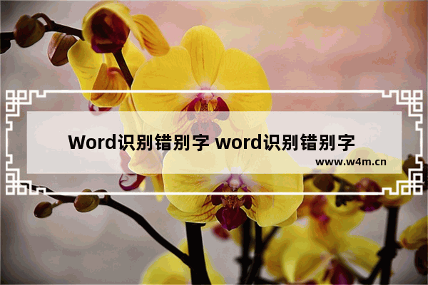 Word识别错别字 word识别错别字 命令行