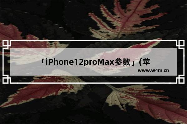 「iPhone12proMax参数」(苹果iphone12promax参数)