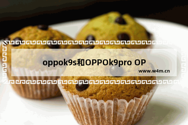 oppok9s和OPPOk9pro OPPOk9s和OPPOk9Pro差别大吗