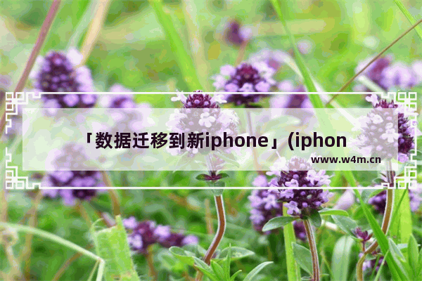 「数据迁移到新iphone」(iphone数据迁移到新iphone一直失败)