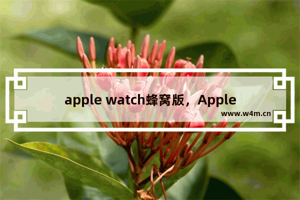 apple watch蜂窝版，Apple watch蜂窝版可以用qq音乐