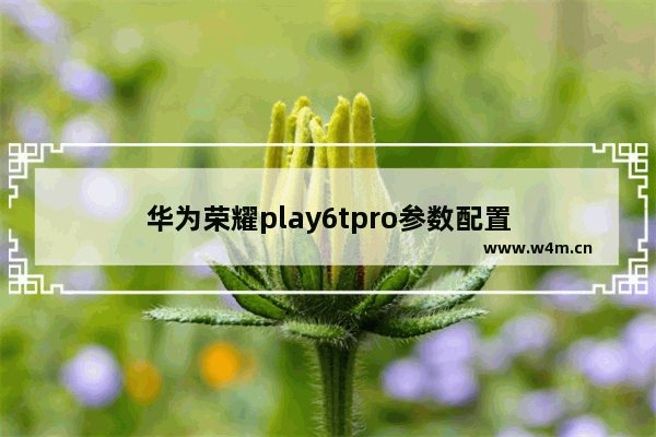 华为荣耀play6tpro参数配置