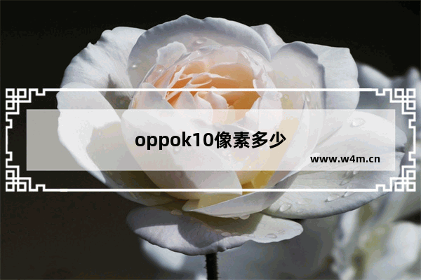 oppok10像素多少