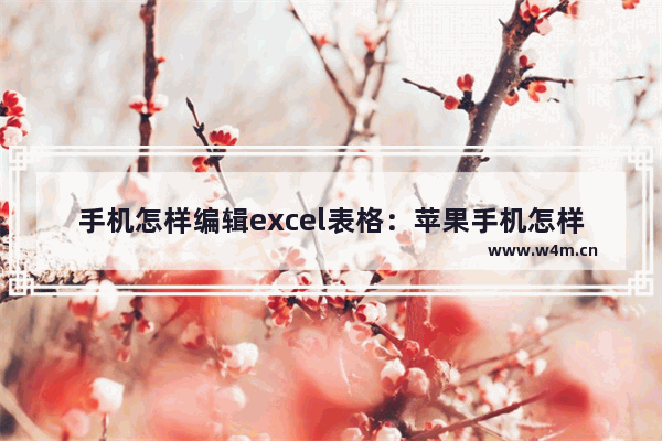 手机怎样编辑excel表格：苹果手机怎样编辑excel表格