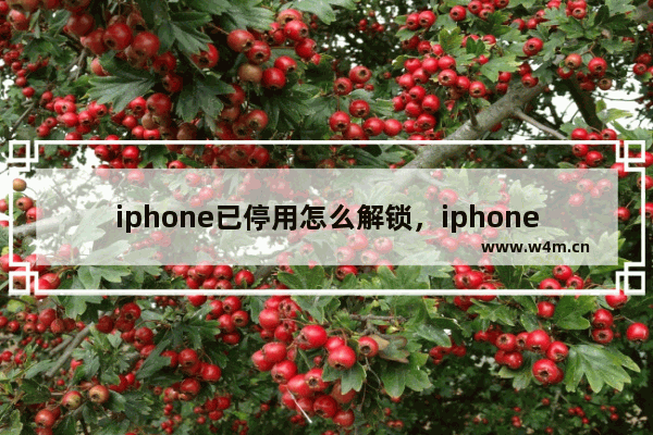 iphone已停用怎么解锁，iphone已停用怎么解锁教程 如何解除iPhone已停用