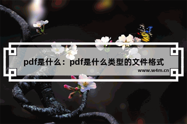 pdf是什么：pdf是什么类型的文件格式