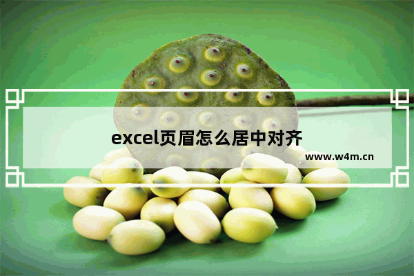 excel页眉怎么居中对齐