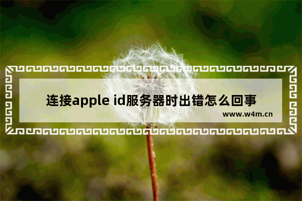 连接apple id服务器时出错怎么回事，mac连接apple id服务器时出错怎么回事