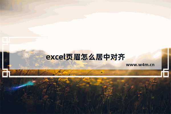 excel页眉怎么居中对齐