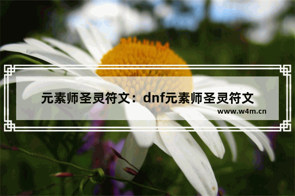 元素师圣灵符文：dnf元素师圣灵符文