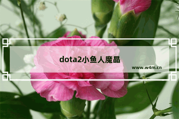 dota2小鱼人魔晶